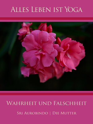 cover image of Wahrheit und Falschheit